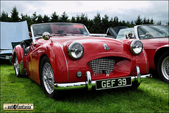 1954 Triumph TR2 - GEF 39