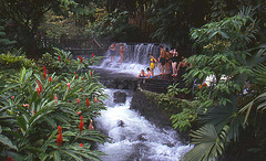 Tabacon Springs