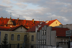 Legnica roofs