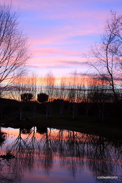 Dusk colours on the pond - 19 January