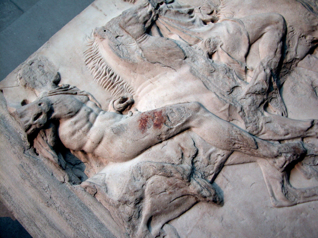 British Museum: muscles on a horse