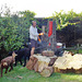 woodsplitting WWOOFer with woofers