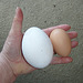 first goose egg