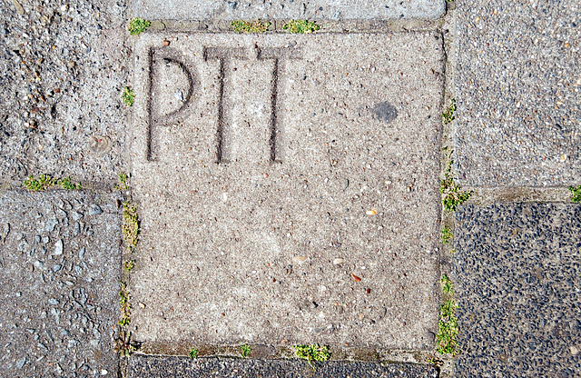 Paving stone of the PTT