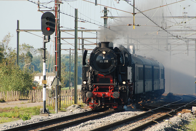 Celebration of the centenary of Haarlem Railway Station: Engine 65 018 of the SSN passing at Lisse