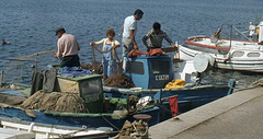 Checking the Nets