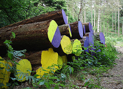 Painted logs