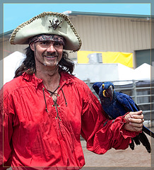 The Pirate's Parrot Show: Chris Biro and a Hyacinth Macaw