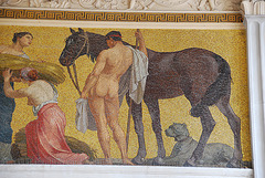 Naked horse handling in Vienna