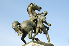Naked horse handling in Vienna