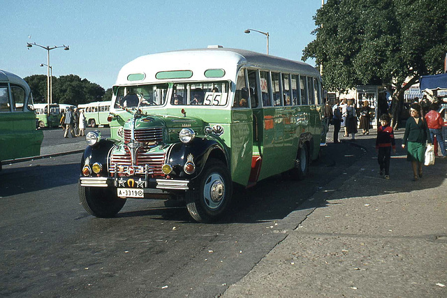 Dodge Bus