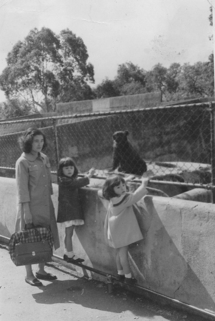 1965 ? - at Melbourne Zoo