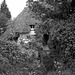 Thatched Cottage (Mono)
