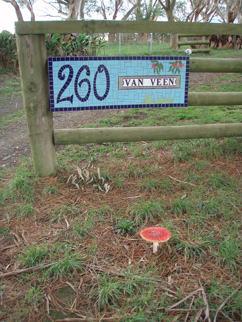 farm sign & toadstool