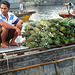 Pineapple Seller