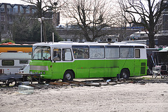 Green DAF bus
