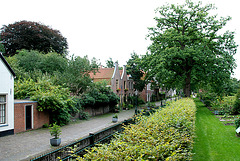 A visit to the Botanical Garden of Leiden University