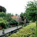 A visit to the Botanical Garden of Leiden University