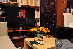 A cat on your lap, a roaring fire and the Christmas tree