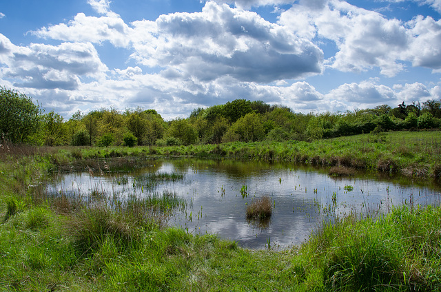 Suffolk Countryside