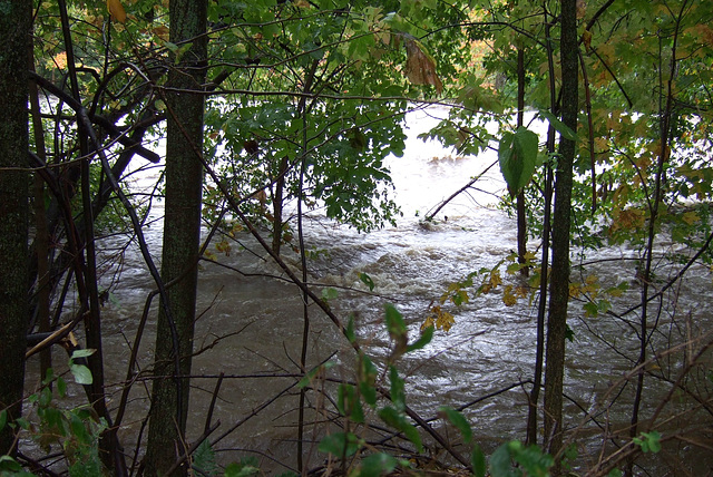 New Haven River - Oct 1, 2010 #2