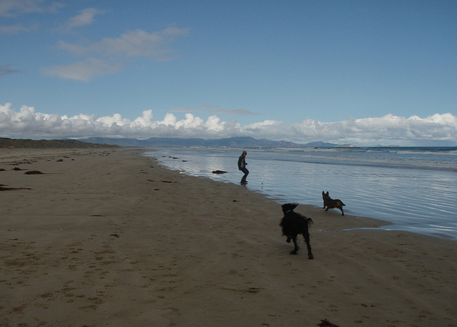 doggy fun at Sandy Point