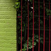 Green Brick Red Fence