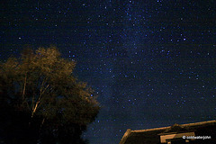 Starry, starry, night....the Milky Way