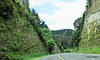 Cutting on the road north of Mangaweka
