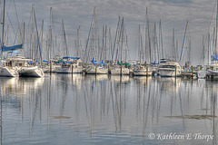 Marina and Yacht Basin Sailboats