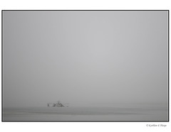 Shrimp Trawler Seascape in Mist