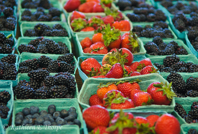 Summer Berries - Coates Brothers Produce in the Asheville, NC Farmers' Market