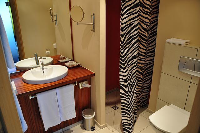 Holiday 2009 – Bathroom in a hotel in Sinsheim
