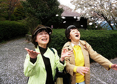 Obasan and Sakura