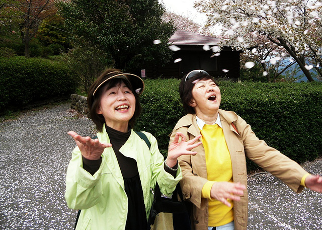 Obasan and Sakura