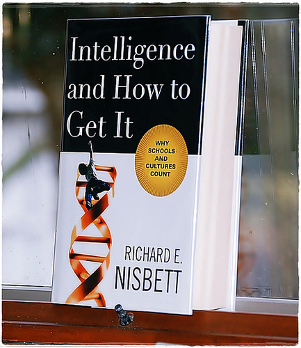 Intelligence and How to Get It