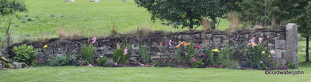 Drystone wall bed - left.