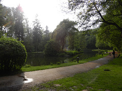 L'étang, près de l'accès au bois.