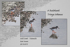 Redshank - Tidemills - East Sussex - 28.12.2013