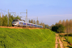TGV automnal