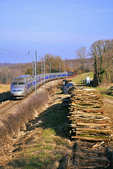 TGV dans la campagne jurassienne