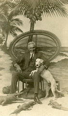 Man and Dog with Alligators on the Beach