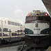 Union Station Amtrak Cascade (3746)