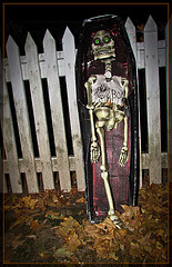Skeleton in Coffin: BOO!