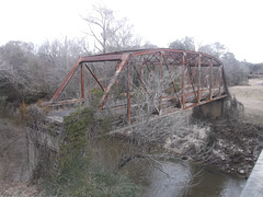 Pont botatique / Botanical bridge.