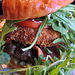 Red Stagg Grill's Burger of the Day