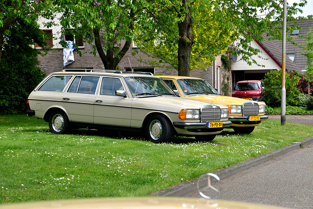 Two Mercedes-Benz W123s