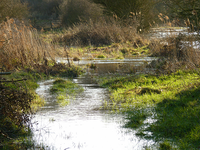 Pebsham Floods The Path
