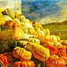 Asheville Farmers' Market Gourds and Pumpkins - Lenabem Texture