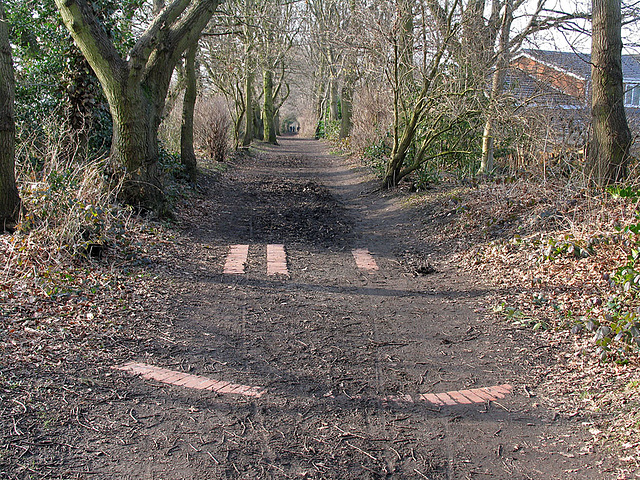 Lady's Incline
